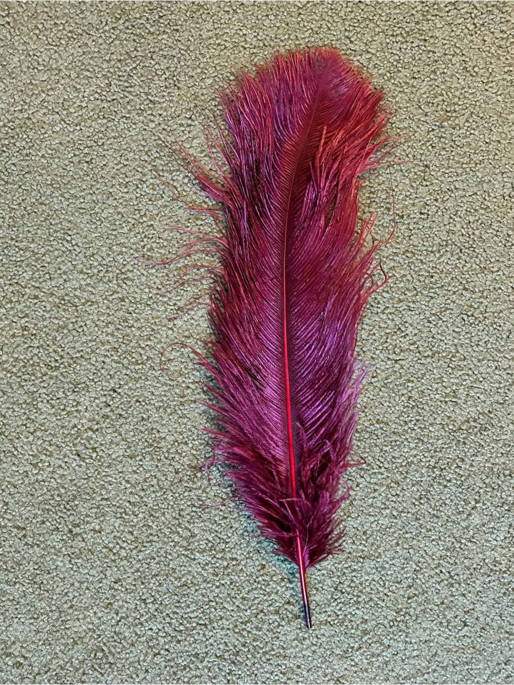 Antique Vintage Millinery Authentic Ostrich Feather Wing Large Plume Burgundy